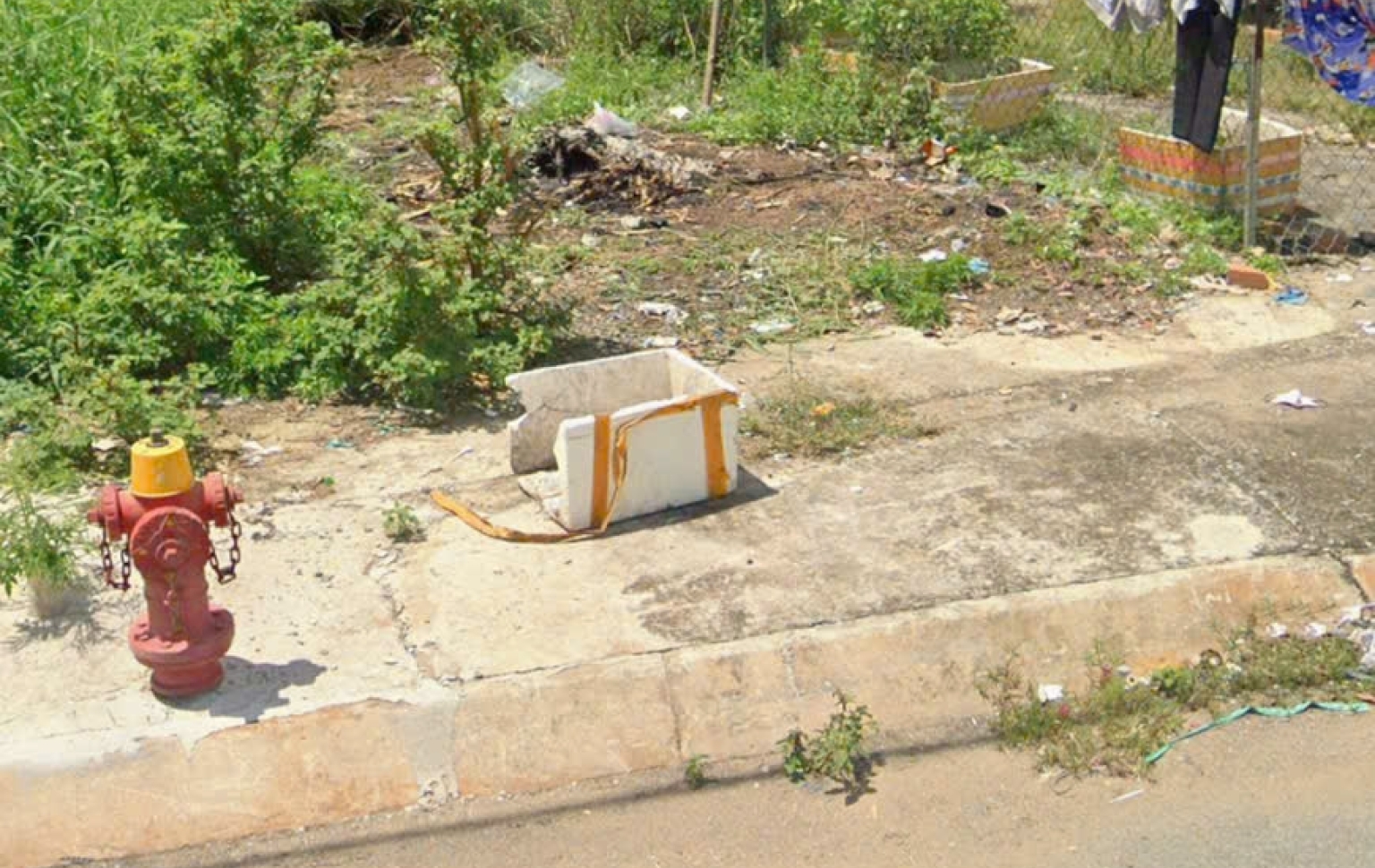 Đất nền thổ cư tại khu CN Đức Hoà Long An