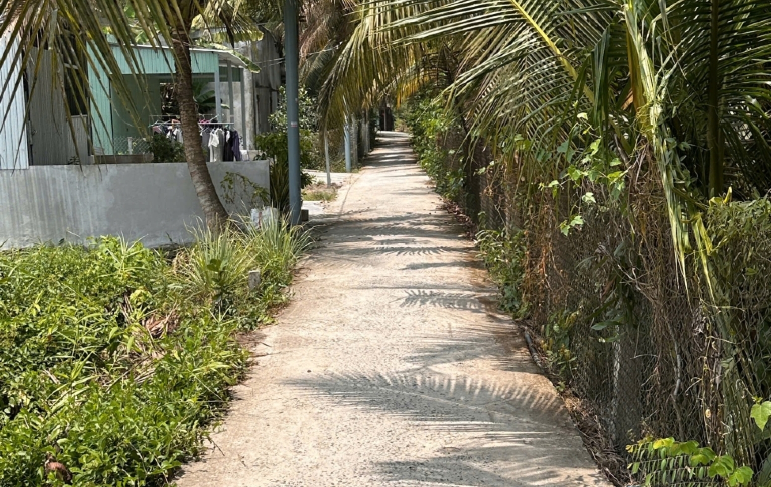 ? Ấp 4, An Thạnh – sát KDC Nam Long & Waterpoint