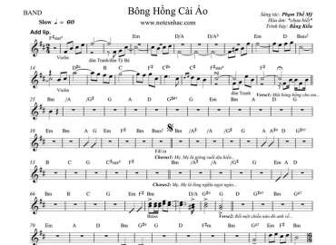 Bông Hồng Cài Áo sheet nhạc đệm
