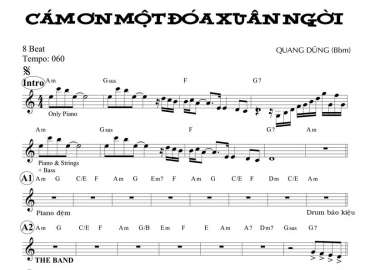 Cám Ơn Một Đóa Xuân Người sheet nhạc đệm