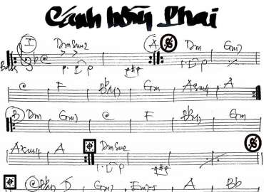 Cánh Hồng Phai sheet nhạc đệm