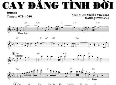 Cay Đắng Tình Đời sheet nhạc đệm