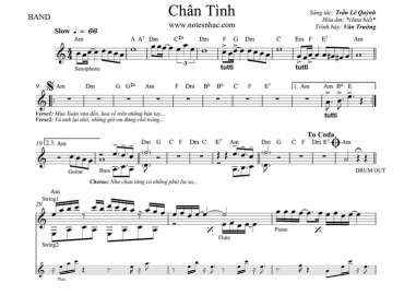 Chân Tình sheet nhạc đệm