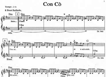 Con Cò sheet nhạc đệm