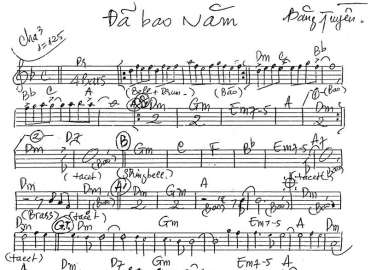 Đã Bao Năm sheet nhạc đệm