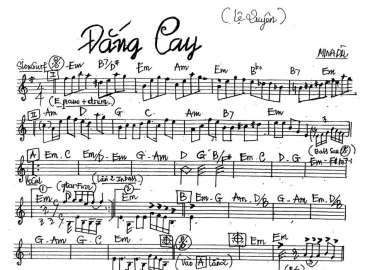 Đắng Cay sheet nhạc đệm