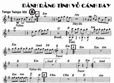 Đành Rằng Tình Vỗ Cánh Bay sheet nhạc đệm