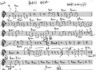 Đào Hoa sheet nhạc đệm