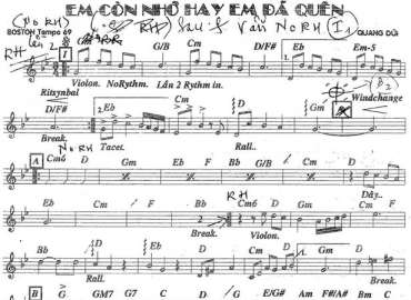 Em Còn Nhớ Hay Em Đã Quên sheet nhạc đệm