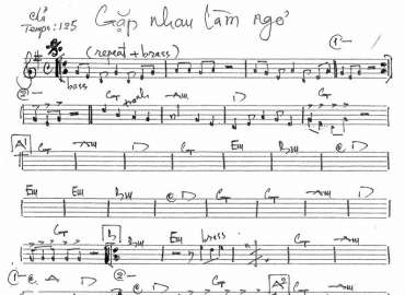 Gặp Nhau Làm Ngơ sheet nhạc đệm