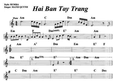 Hai Bàn Tay Trắng sheet nhạc đệm