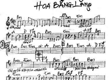 Hoa Bằng Lăng sheet nhạc đệm