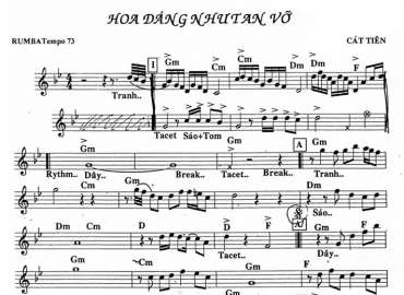 Hoa Dáng Như Tan Vỡ sheet nhạc đệm