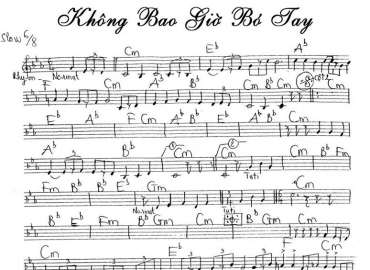 Không Bao Giờ Bó Tay sheet nhạc đệm