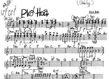 Phố Hoa sheet nhạc đệm