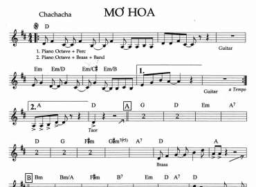 Mơ Hoa sheet nhạc đệm