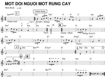 Một Đời Người Một Rừng Cây sheet nhạc đệm