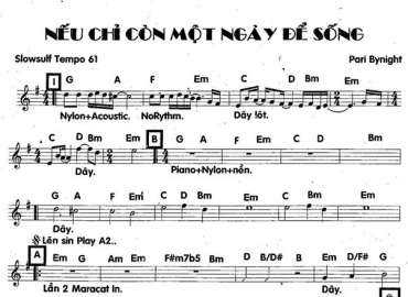 Nếu Chỉ Còn Một Ngày Để Sống sheet nhạc đệm