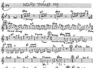 Ngày Tháng Hạ sheet nhạc đệm