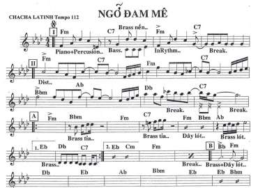 Ngỡ Đam Mê sheet nhạc đệm