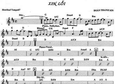 Xin Lỗi sheet nhạc đệm