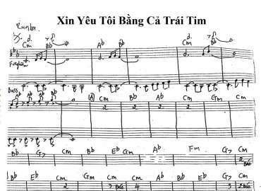 Xin Yêu Tôi Bằng Cả Trái Tim sheet nhạc đệm