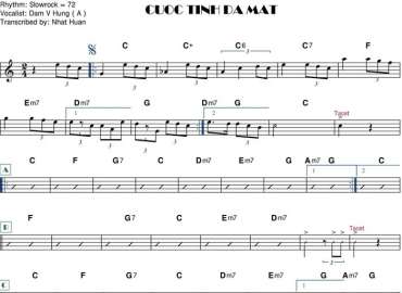 Cuộc Tình Đã Mất sheet nhạc đệm