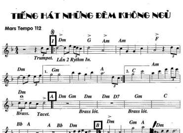 Tiếng Hát Những Đêm Không Ngủ sheet nhạc đệm