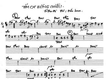 Tím Cả Rừng Chiều sheet nhạc đệm