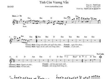 Tình Còn Vương Vấn sheet nhạc đệm