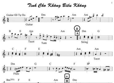 Tình Cho Không Biếu Không Sheet Nhạc đệm