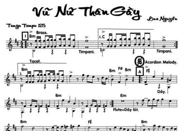 Vũ Nữ Thân Gầy sheet nhạc đệm