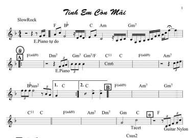 Tình Em Còn Dài Sheet Nhạc đệm