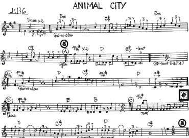 Animal City sheet
