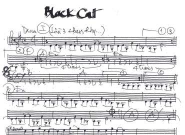 Black cat sheet