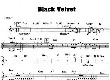 Black velvet sheet 