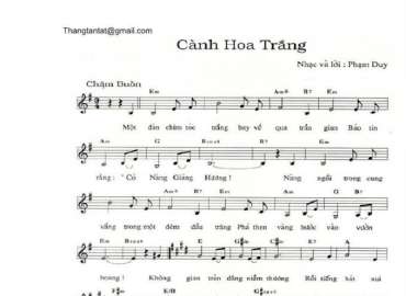 Cành hoa trắng sheet có lời