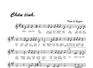 Chân tình sheet có lời