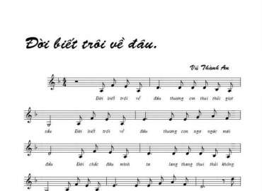 Đời Biết Trôi Về Đâu sheet có lời