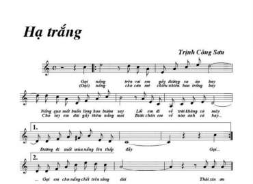 Hạ Trắng sheet có lời 