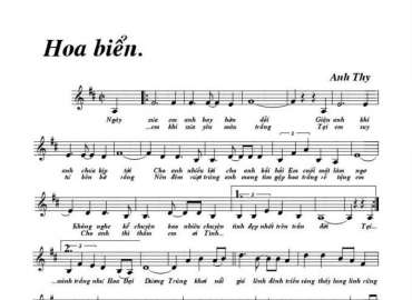 Hoa Biển sheet có lời 