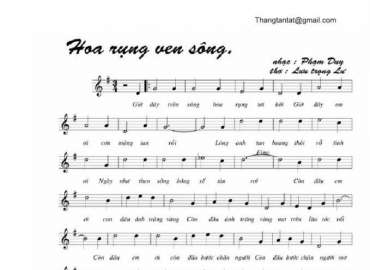 Hoa Rụng Ven Sông sheet có lời 
