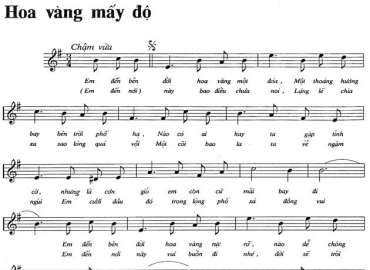 Hoa Vàng Mấy Độ sheet có lời 