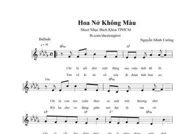 Hoa Nở Không Màu sheet có lời 