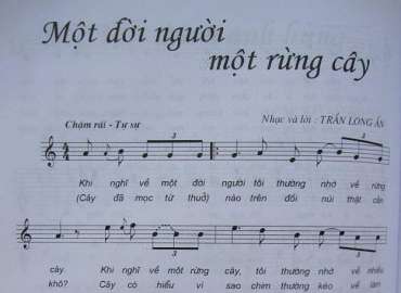 Một Đời Người Một Rừng Cây sheet có lời 