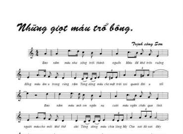 Những Giọt Máu Trổ Bông sheet có lời 