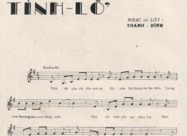 Tình Lỡ sheet có lời 