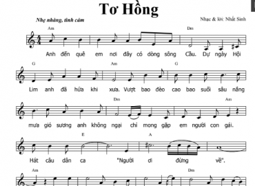 Tơ Hồng sheet có lời 