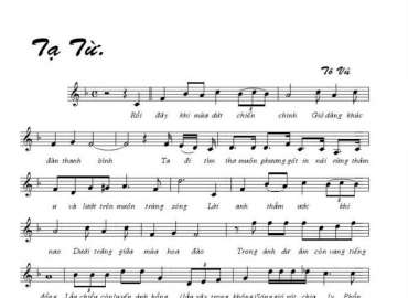 Tạ Từ sheet có lời 