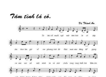 Tâm Tình Lá Cỏ sheet có lời 
